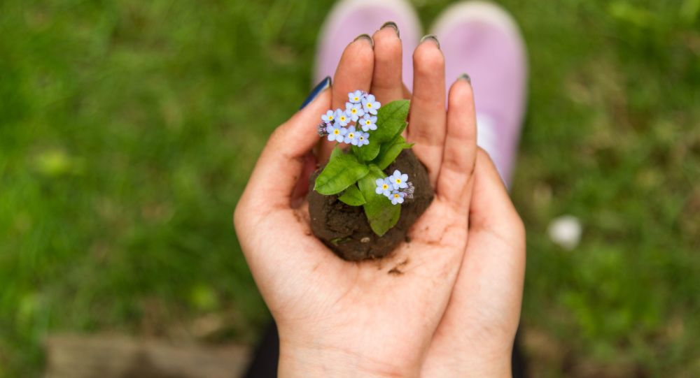 Ahora puedes contribuir al ciclo de la vida convirtiéndote en tierra fértil