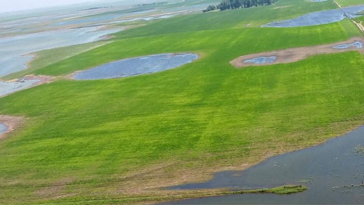 Córdoba en emergencia por anegamientos