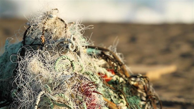 Satlink recoge cien toneladas de redes de pesca en la costa de Chile