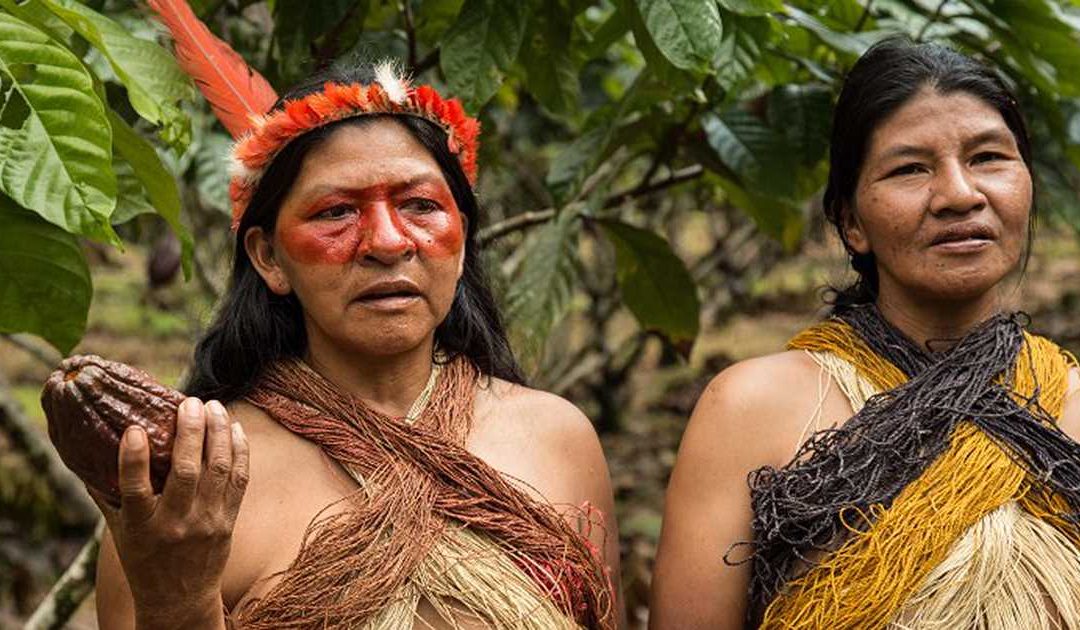 Indígenas apoyan demanda contra Código Ambiental en Ecuador