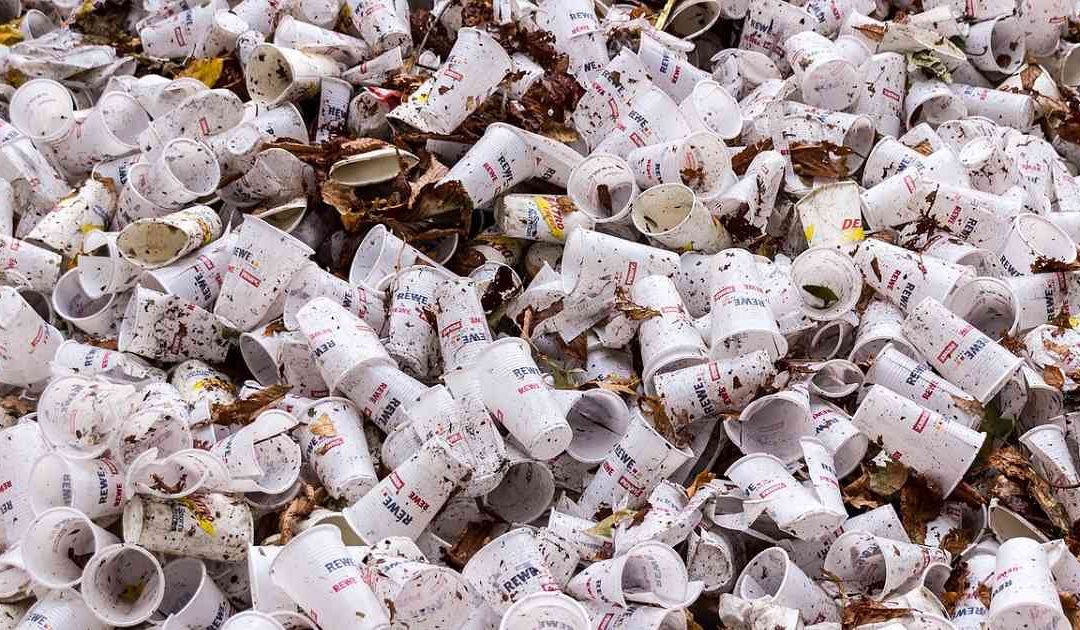 Los Juegos Olímpicos de Tokio serán ecológicos