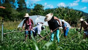 Recuperar la agricultura familiar como activo social y cultural