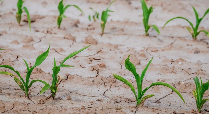 Empeora la sequía en el sur de Australia