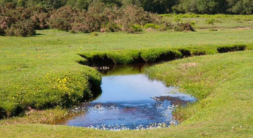 Reducir la contaminación para aminorar los efectos del cambio climático