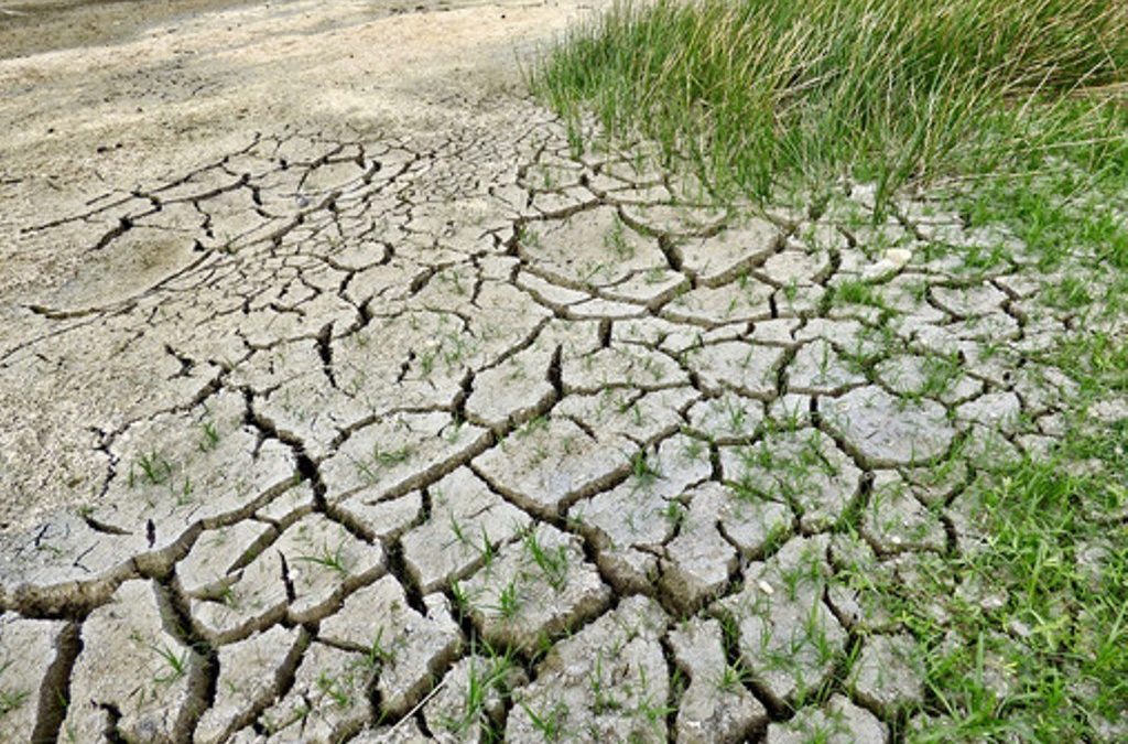 Grandes zonas de España entran en sequía