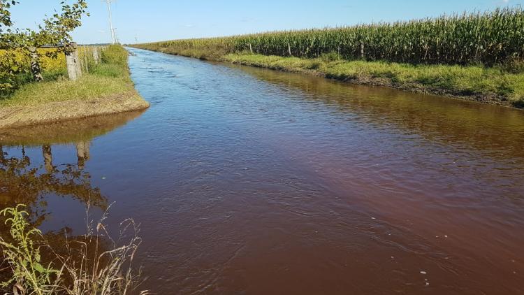 En el semiárido, el problema actual es el exceso de agua