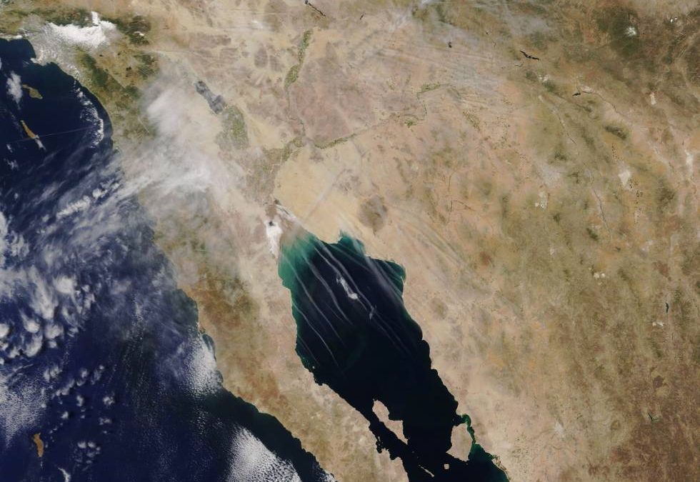 Las estelas de los aviones afectan al clima más que sus emisiones de CO2