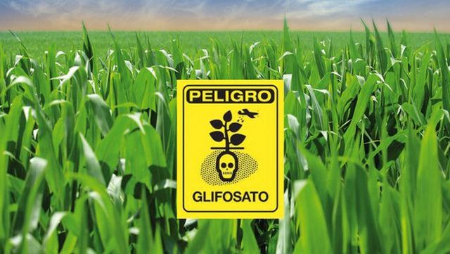 Chubut promulgó una ley que prohíbe el uso glifosato