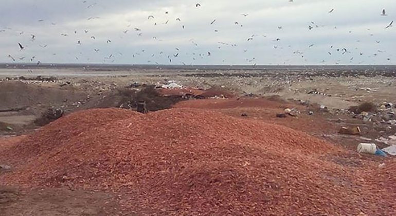 Instalarán una empresa de residuos pesqueros en Río Negro
