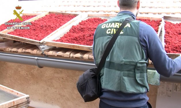 Operación de la Guardia Civil contra los falsos “bio” en alimentación