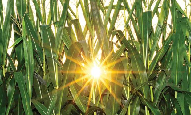YPF apuesta a encontrar proyectos ligados a la energía