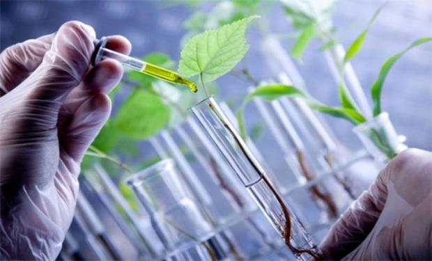 Ya rige el régimen que promociona las ciencias del campo