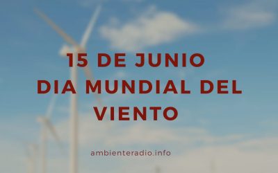 Día Mundial del Viento – 15 de junio