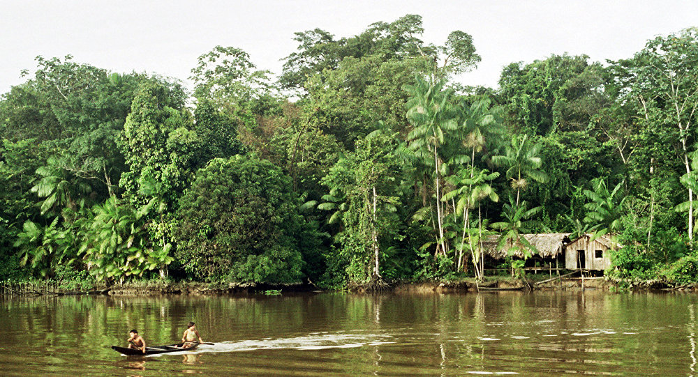 La deforestación de la Amazonía en Brasil aumentó en junio