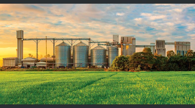 FAO: crece el hambre por la desaceleración económica