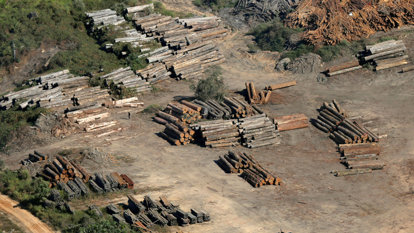 La deforestación en la Amazonía brasileña aumenta