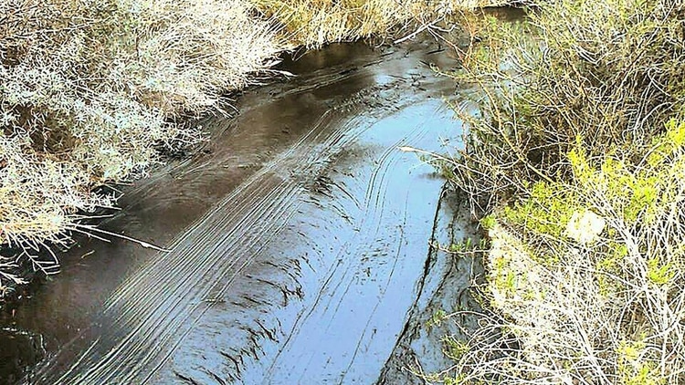 Los delitos ambientales en el nuevo Código Penal