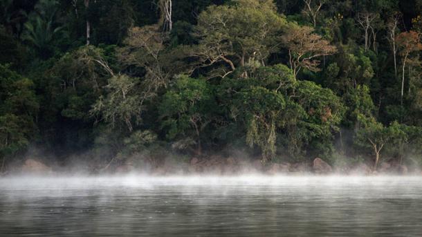 Mineros invaden tierras de indígenas del Amazonas brasileño