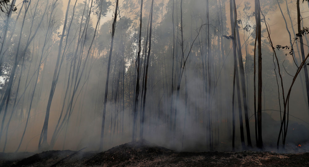 Siberianos piden declarar emergencia por incendio forestal en la región