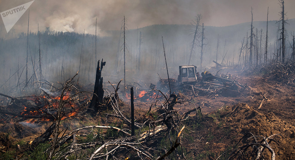 Incendios forestales arrasan millones de hectáreas en Rusia