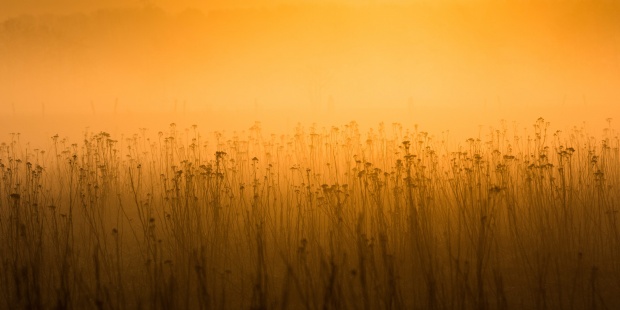 Principales ciudades del mundo se calentarán en 2050