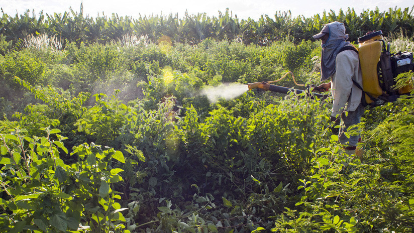 Brasil bate récord de liberación de pesticidas