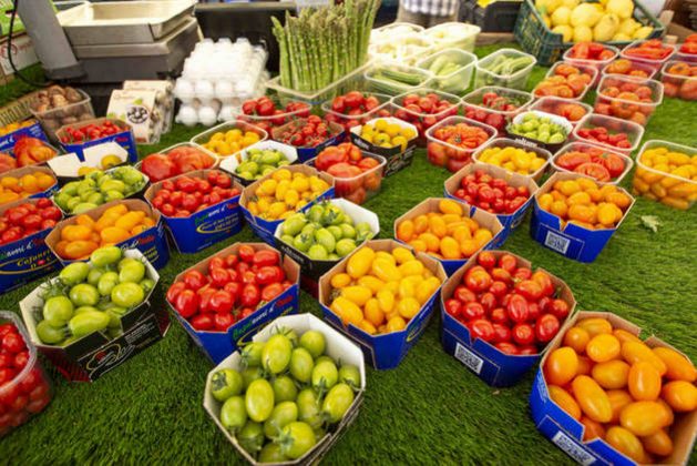Pronóstico de exportaciones agrícolas y pesqueras en América Latina
