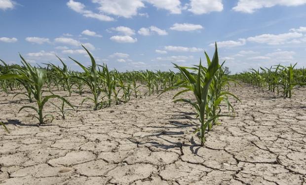 Sistema antisequía: presentaron un servicio para alertar este evento