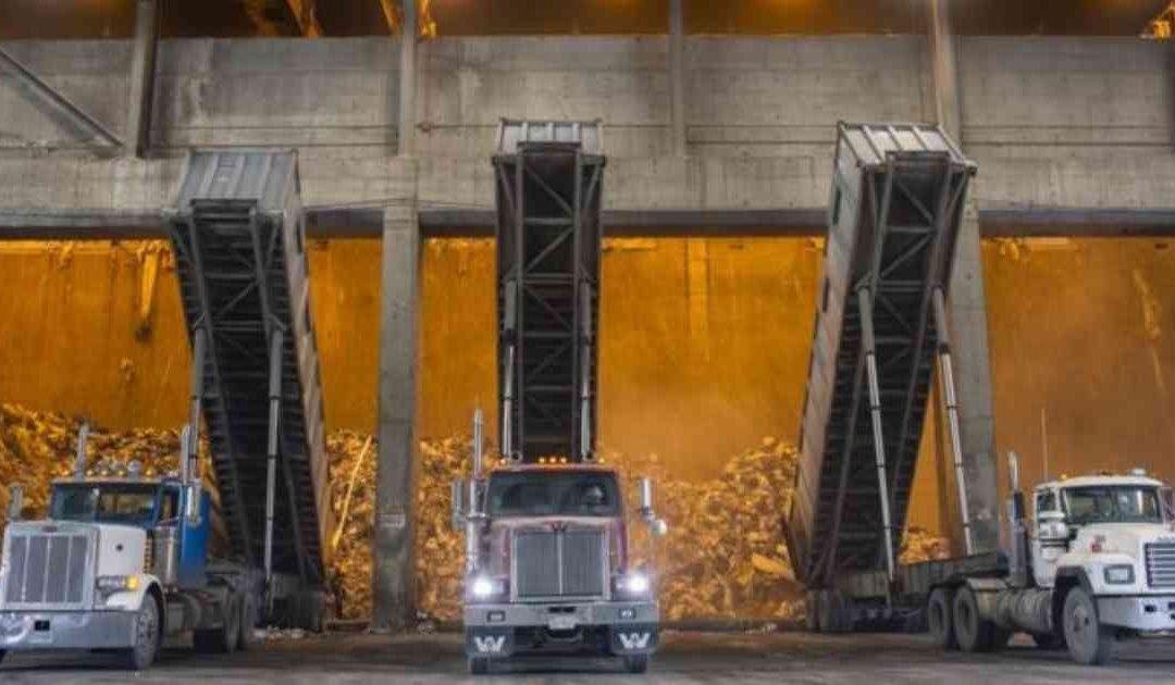 Crisis mundial por la basura