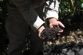 Regeneran la estructura de suelos dañados a partir de enmiendas