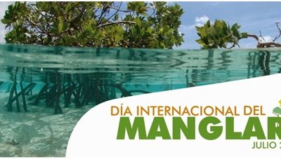Día Internacional de la Defensa del Ecosistema Manglar – 26 de julio