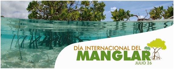 Día Internacional de la Defensa del Ecosistema Manglar – 26 de julio