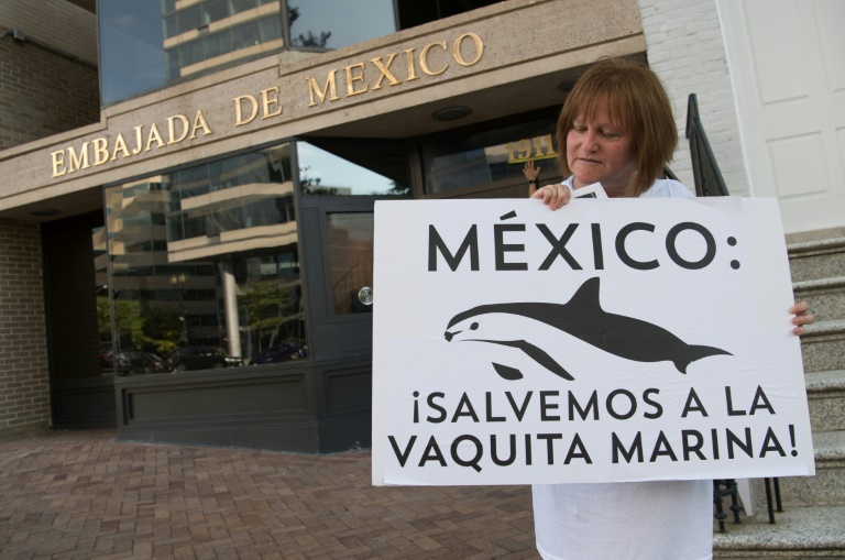 Hábitat de la vaquita marina en México, un Patrimonio Mundial en peligro