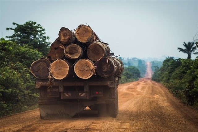 La deforestación en Brasil crece