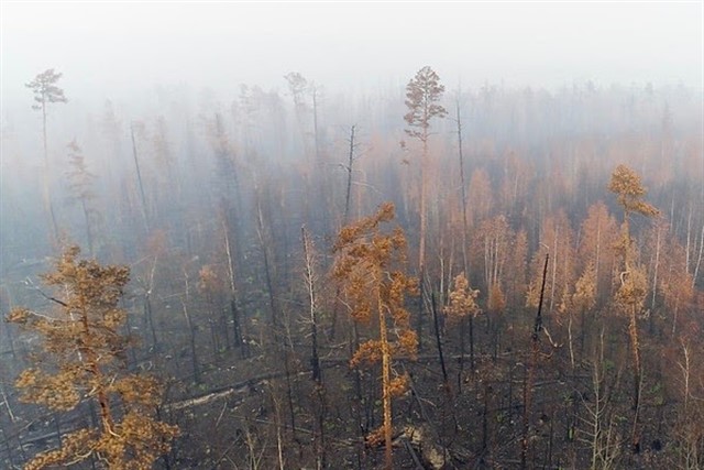 Los incendios en Siberia empeoran