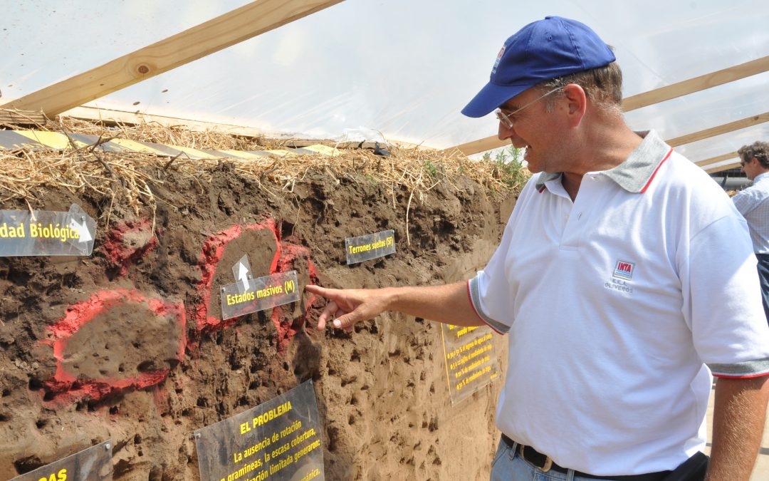 Almacenar carbono en los suelos para mitigar el cambio climático