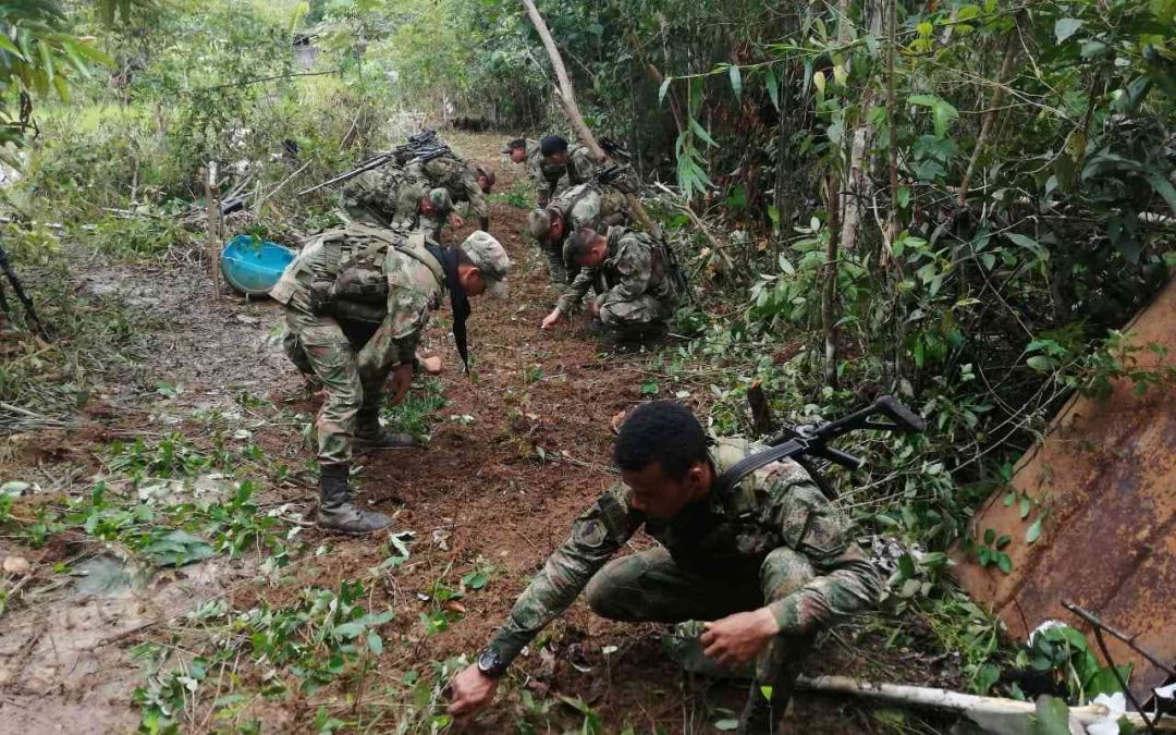 Frenan tala de bosque nativo en la Amazonia colombiana