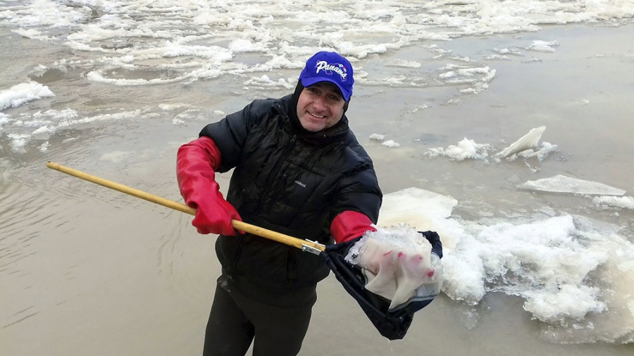 Alertan sobre un alga invasora que puede afectar a los peces