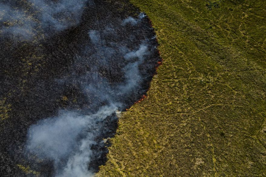 Incendio en el Parque Nacional Ciervo de los Pantanos