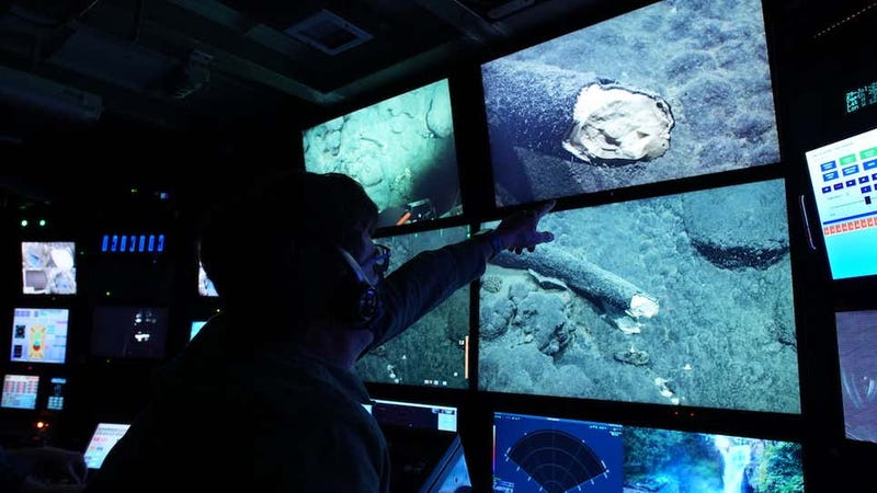 Encuentran un colmillo de mamut en el fondo del océano Pacífico