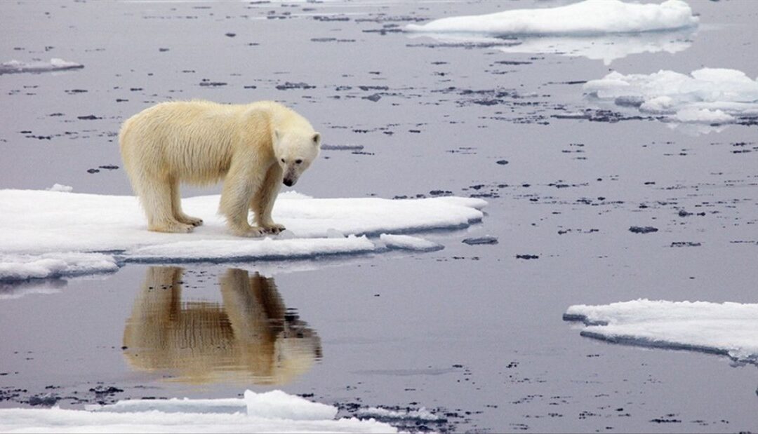 El récord de calor en el Ártico «enciende las alarmas» sobre el cambio climático