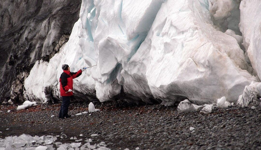 Los microplásticos llegaron a la Antártida