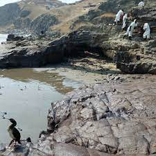 Lima: Repsol inicia la etapa final de la limpieza por crudo