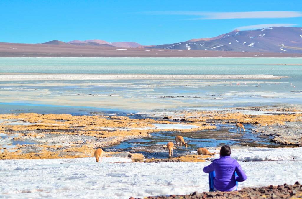 La pandemia cambió las perspectivas del turismo