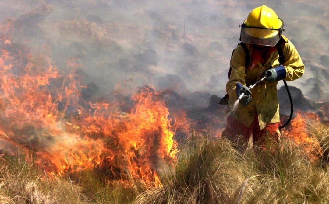 ONU identifica a los incendios forestales como una de las tres más graves amenazas