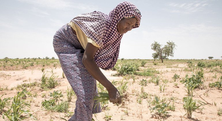 El aumento de los ingresos es más perjudicial para el ambiente que el crecimiento de la población
