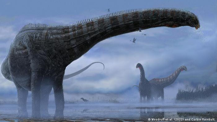 Encuentran primera evidencia de infección respiratoria en un saurópodo