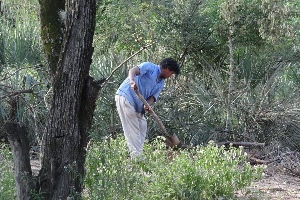 Buscan aplicar un mecanismo de sustentabilidad en el Gran Chaco Americano