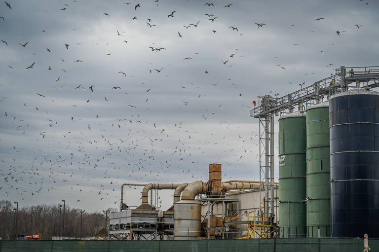 Estados Unidos: Aprobarán proyectos de ley ambientales