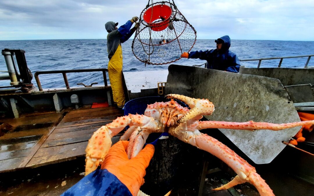 La pesquería de centolla en Argentina recibió la Certificación MSC